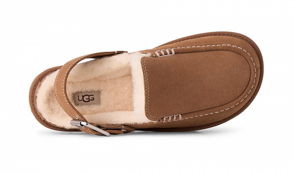 UGG Goldenstar Evelina Clog 1180251