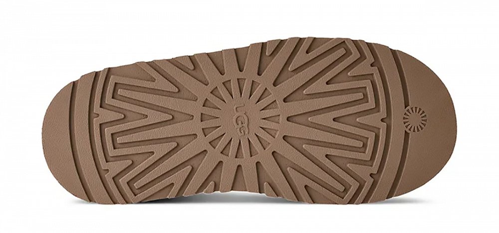 UGG Παντόφλες Tazz II 1174471