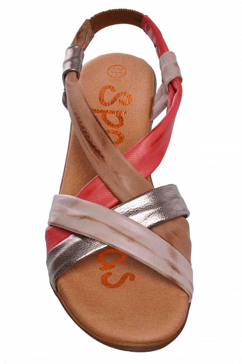 Spartanas 3854 Ταμπα
