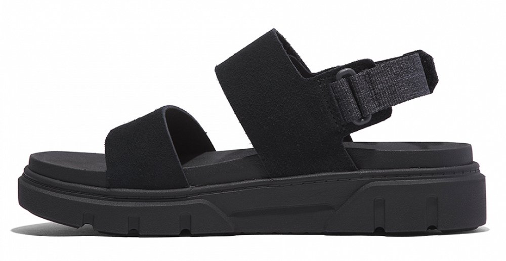 Timberland Greyfield 2-Strap Sandal A61N4 EK4 Μαύρο