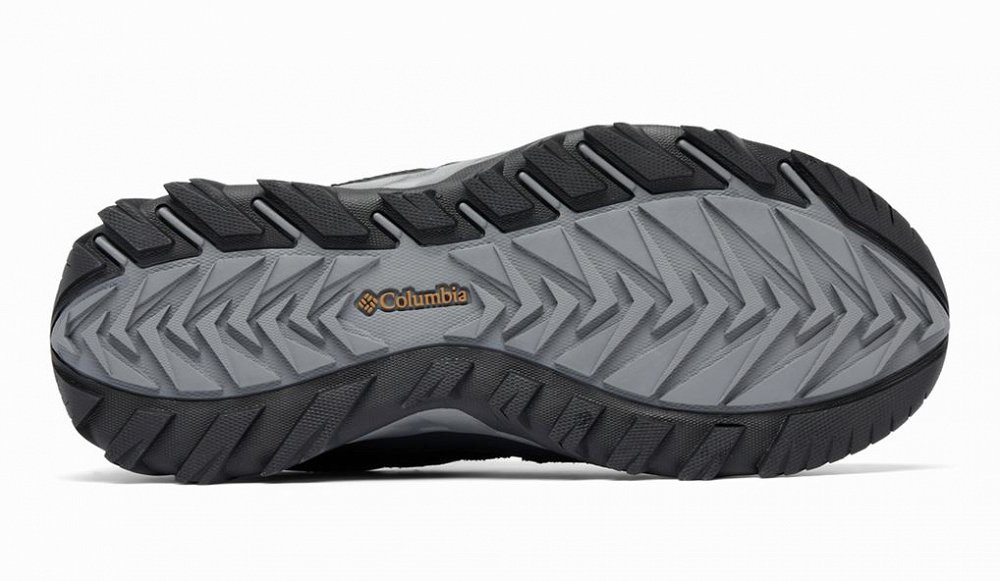 Columbia Παπούτσια πεζοπορίας Strata Trail™ Low Waterproof 2076891