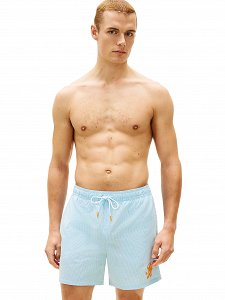 Tommy Hilfiger Ανδρικό Μαγιό UM0UM03750