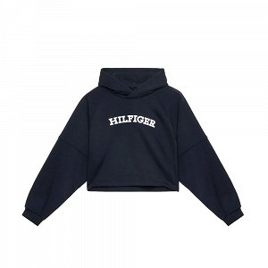 Tommy Hilfiger Monotype Hoodie KG0KG07381 DW5 Desert Sky