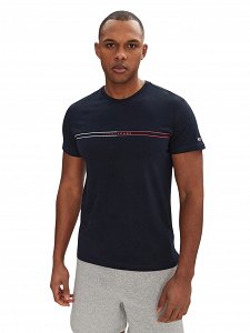Tommy Hilfiger Ανδρικό T-Shirt Entry Graphic Tee DM0DM20779 C1G Μπλε