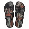Ipanema Anatomic Temas XV 83611-BD531 Black/Brown/Red