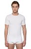 BIKKENBERGS 2Pack T-Shirt Crew Neck BBK1UTS01BI White