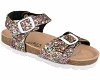 Alegria Shoes 6731 Πολυχρωμο