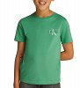 Calvin Klein Παιδικό T-Shirt IU0IU00678 L1S Πράσινο