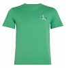 Calvin Klein Παιδικό T-Shirt IU0IU00678 L1S Πράσινο