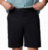 Columbia Ανδρική Βερμούδα Rapid Rivers™ Cargo Short 2120661