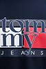 Tommy Hilfiger Ανδρικό T-Shirt DM0DM21977 C1G Μπλε