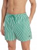 Calvin Klein Ανδρικό Μαγιό LV00N61045 4ZF Πράσινο