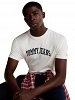 Tommy Hilfiger Ανδρικό T-Shirt DM0DM20362 YBL Λευκό