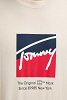 Tommy Hilfiger Ανδρικό T-Shirt DM0DM21940 ACH Μπεζ