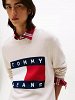 Tommy Hilfiger Ανδρικό πουλόβερ DM0DM22105 AFN Μπεζ