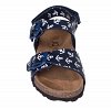 Iq Kids 7110122 Blue