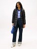 Tommy Hilfiger Essential Hooded Down Coat DW0DW18864 BDS Μαύρο