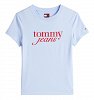 Tommy Hilfiger Γυναικείο T-Shirt DW0DW19447 C3Q Γαλάζιο