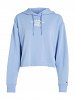 Tommy Hilfiger Tjw Rlx Essential Logo 2 Hoodie DW0DW16141 C3X June Iris