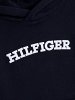 Tommy Hilfiger Arched Hoodie KB0KB08290 DW5 Desert Sky