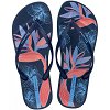 Ipanema Anatomic Temas XV 83611-BD530 Blue/Blue/Pink