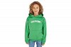 Tommy Hilfiger Arched Hoodie KB0KB08290 LY3 Coastal Green 