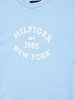 Tommy Hilfiger Monotype Flock Regular Tee KB0KB08658s C1Z Vessel Blue