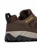 Columbia Παπούτσια πεζοπορίας Strata Trail™ Low Waterproof 2076891 231 Καφέ