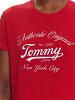 Tommy Hilfiger Γυναικείο T-Shirt DW0DW21404 XLE Κόκκινο