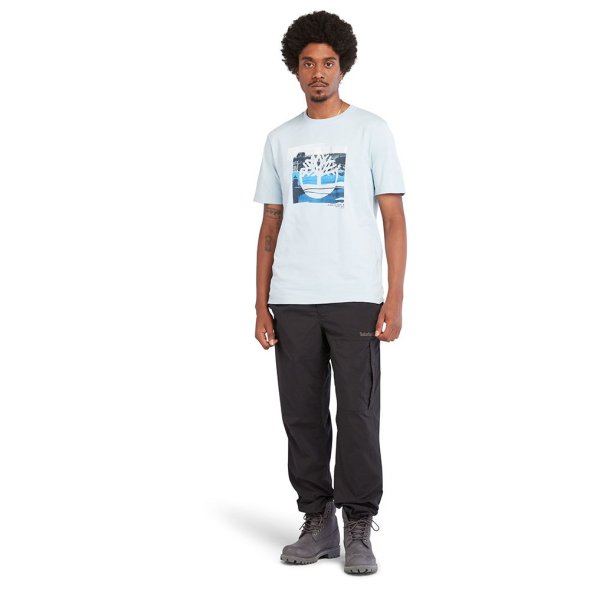 Timberland Coast Graphic Tee A65WH 940 Skyway