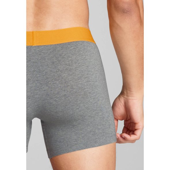 Levi's® Σετ 2 Ανδρικά Εσώρουχα Boxer Brief 701222842 017 Grey/Black