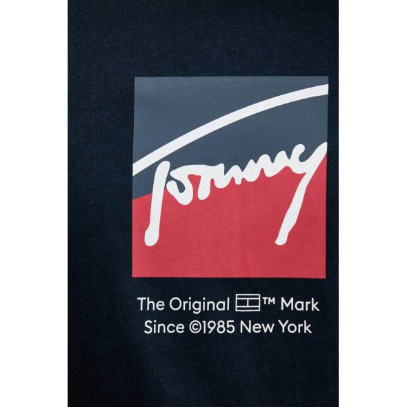 Tommy Hilfiger Ανδρικό T-Shirt DM0DM21940 C1G Μπλε