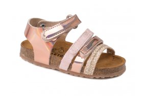 855089 Salmon Rose
