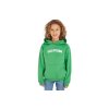 Tommy Hilfiger Arched Hoodie KB0KB08290 LY3 Coastal Green 